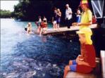 Feeding frenzy at Aquascene